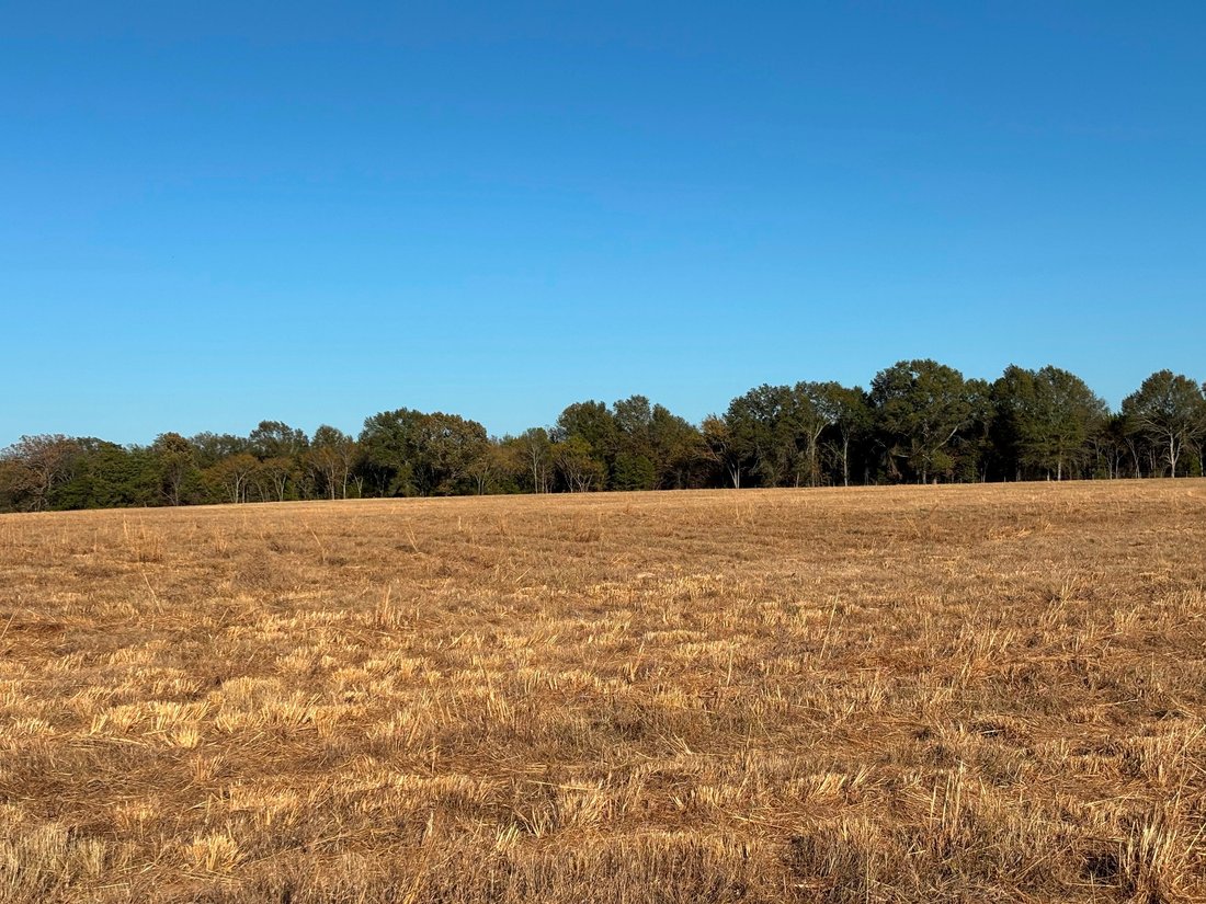 Land in Ben Wheeler, Texas, United States 4 - 16654176