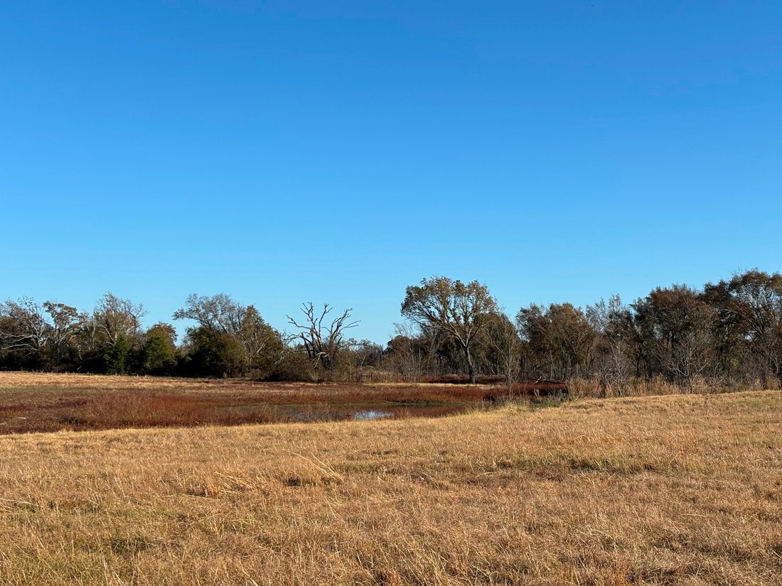 Land in Ben Wheeler, Texas, United States 5 - 16654176