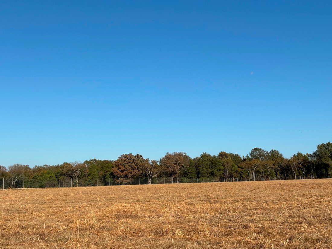 Land in Ben Wheeler, Texas, United States 3 - 16654176