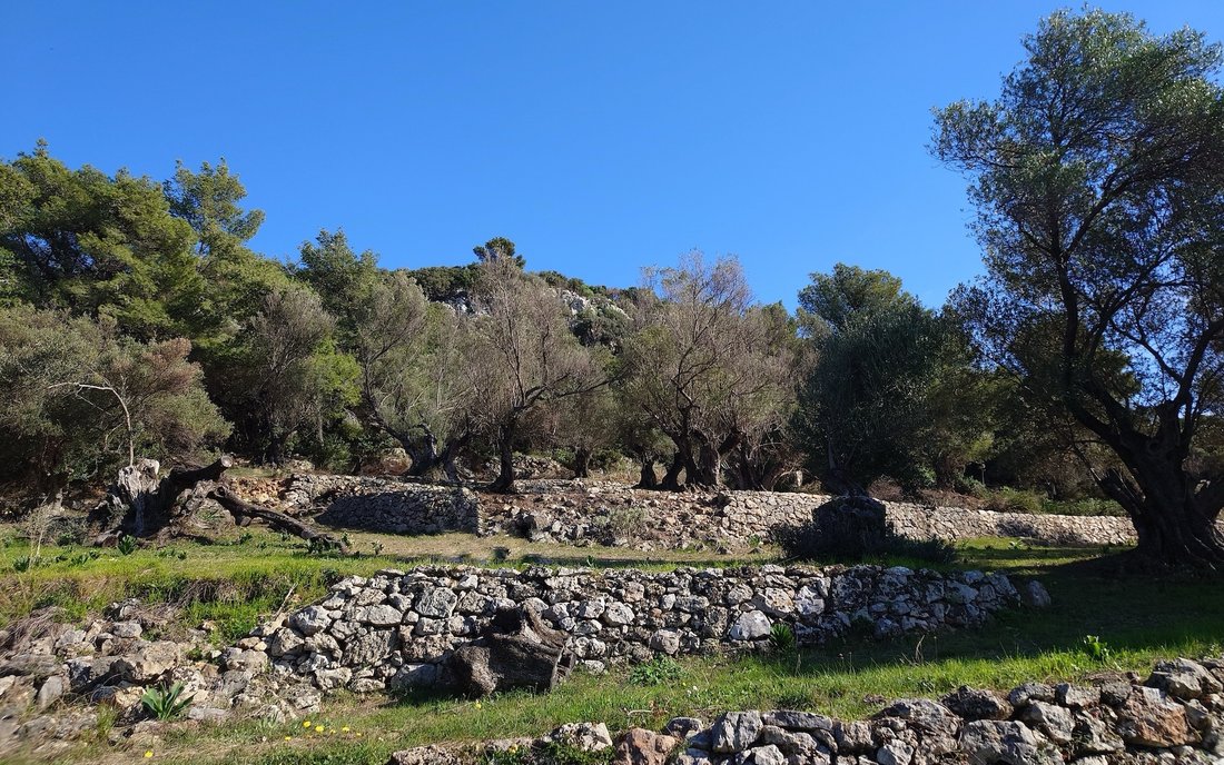 Terrain à Argostoli, Peloponnese, Western Greece and the Ionian, Grèce 2 - 16654991