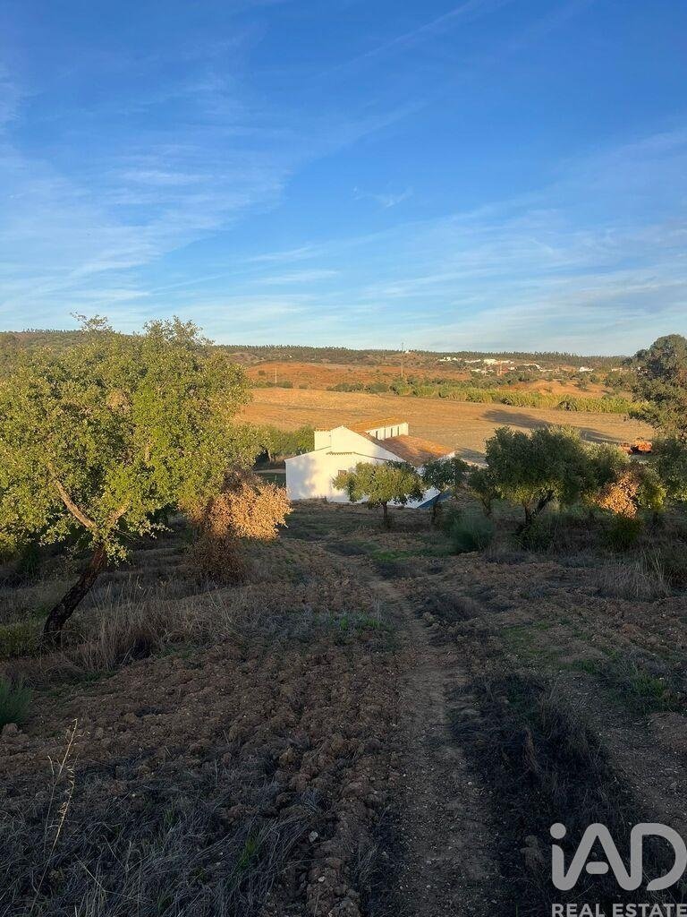 Farm Ranch in Vidigueira, Beja District, Portugal 5 - 16655671