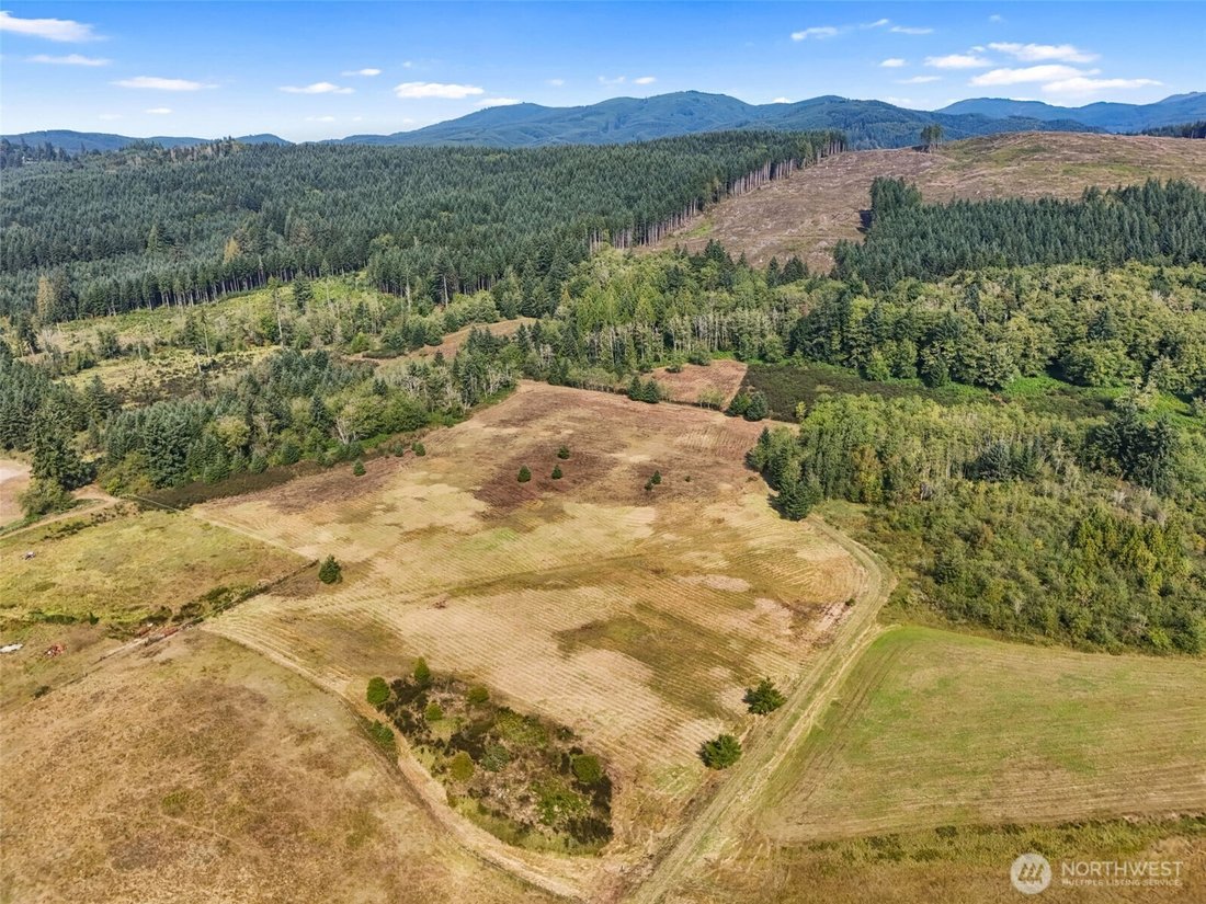Land in Onalaska, Washington, United States 3 - 16657276