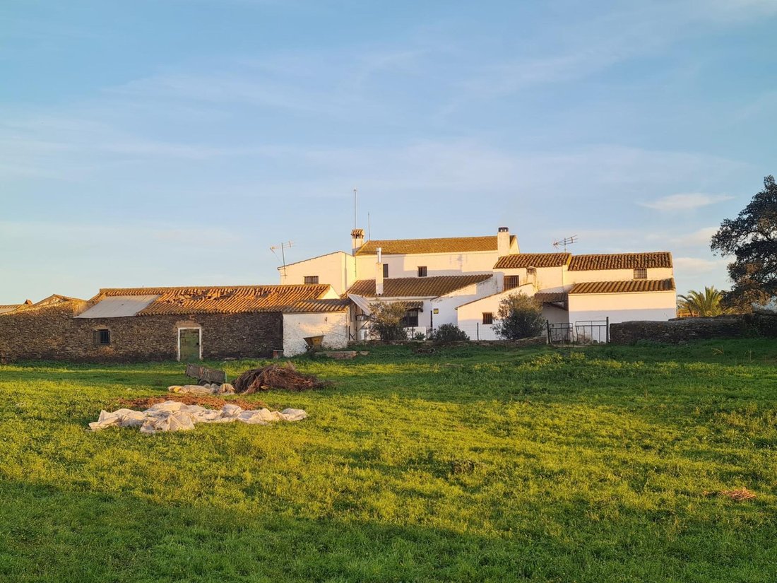 Country House in Alosno, Andalusia, Spain 5 - 16657755