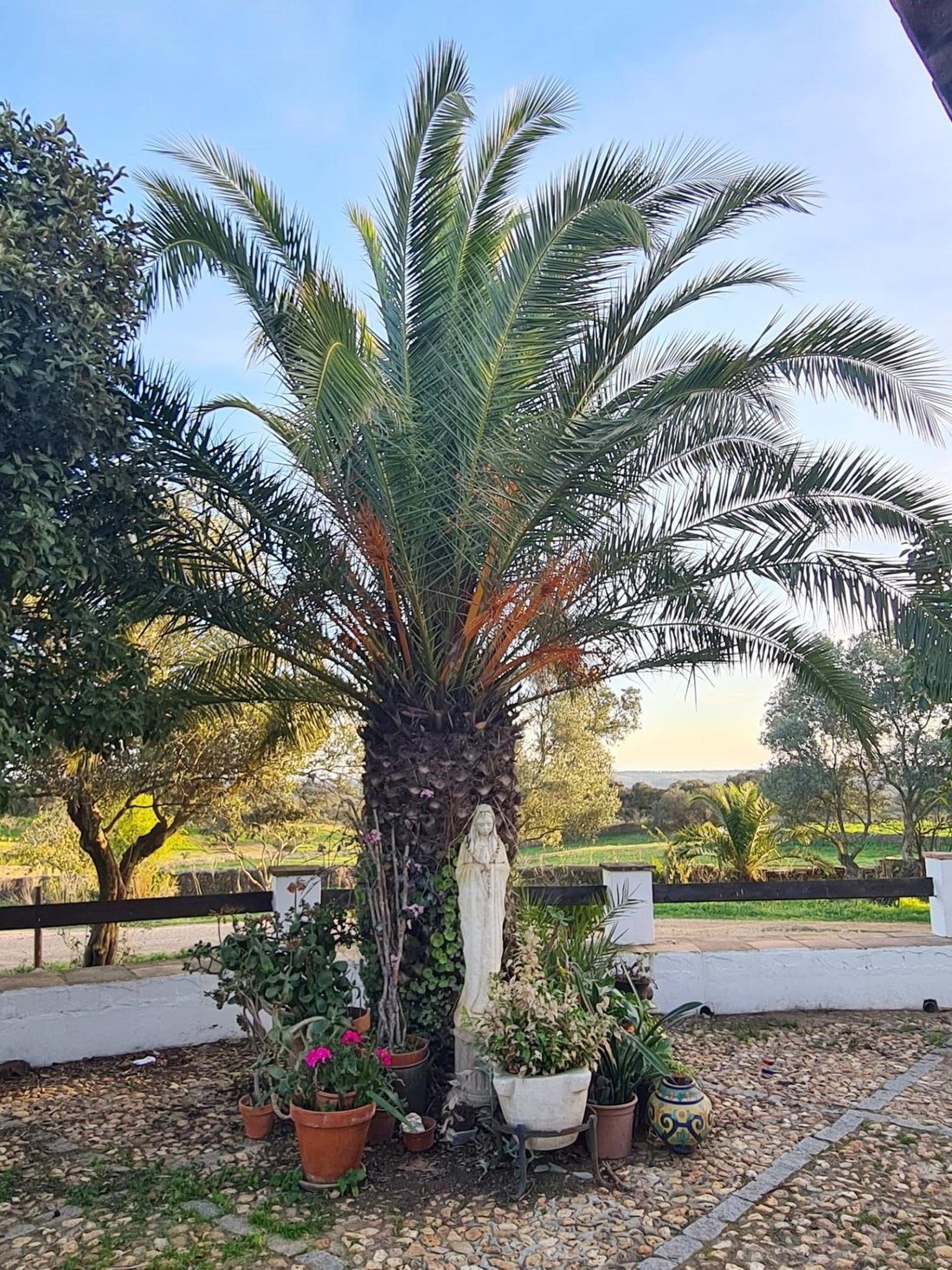 Country House in Alosno, Andalusia, Spain 4 - 16657755