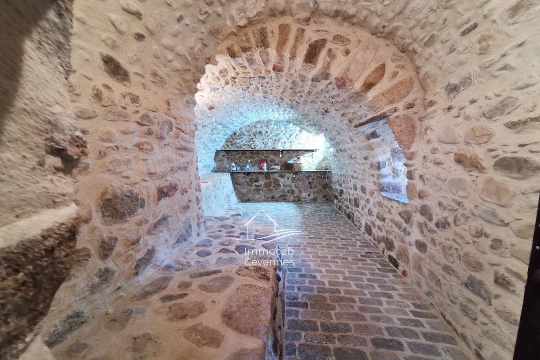 Villa in Anduze, Occitania, France 3 - 16656709