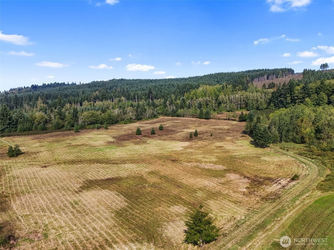 Land in Onalaska, Washington, United States 4 - 16657276