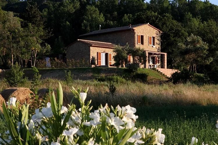 Villa in Montescudaio, Tuscany, Italy 2 - 16656328
