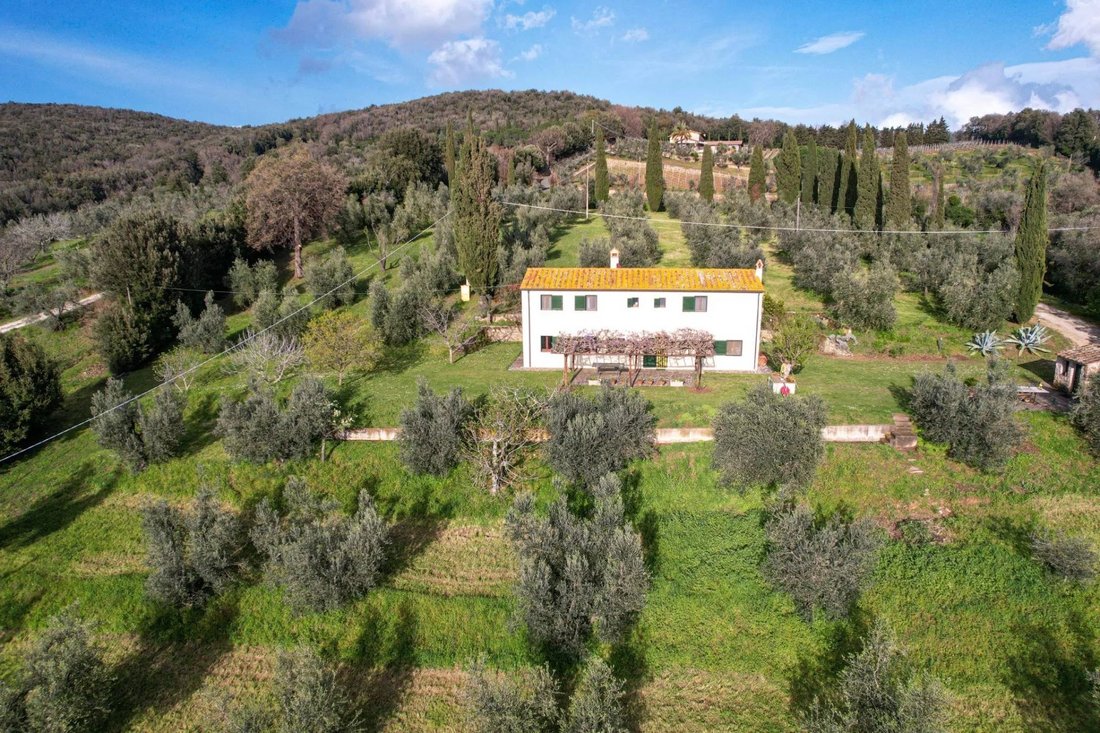Castagneto Carducci, Tuscany, Italy 2 - 16656283