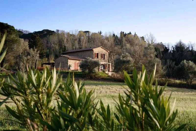 Villa in Montescudaio, Tuscany, Italy 4 - 16656328