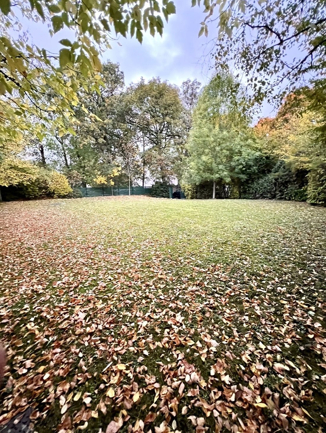 Land in Jouy Centre-Petit Jouy, Jouy-en-Josas, France 1 - 16659304