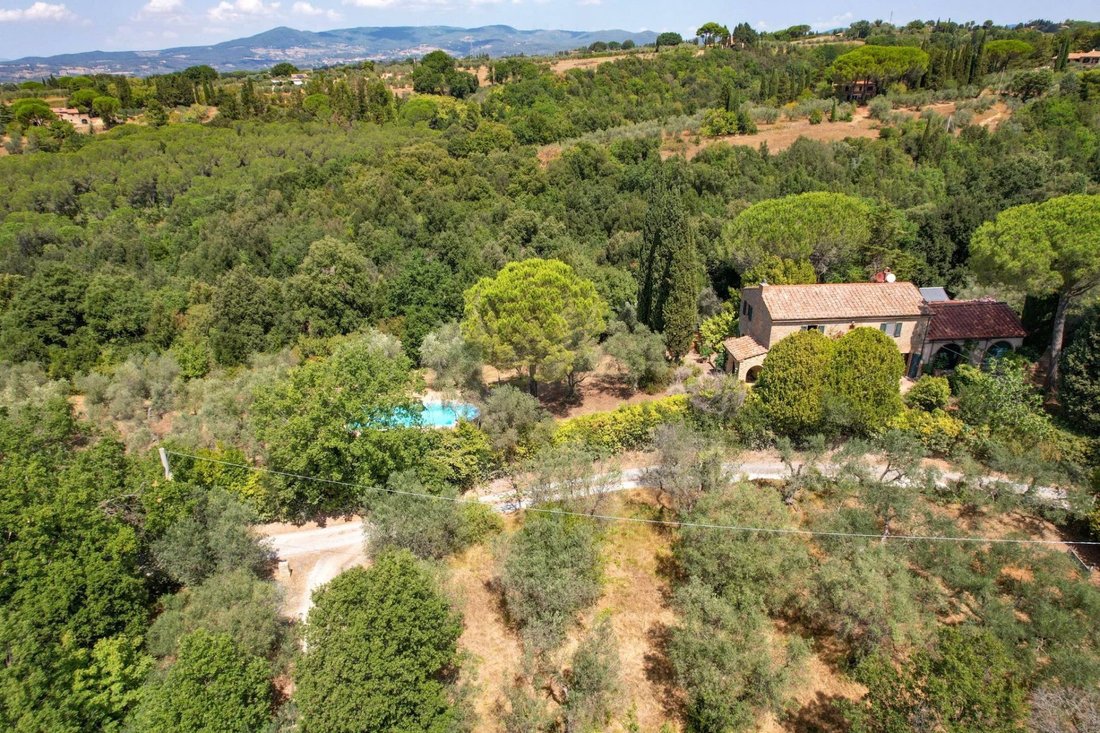Guardistallo, Tuscany, Italy 5 - 16656332