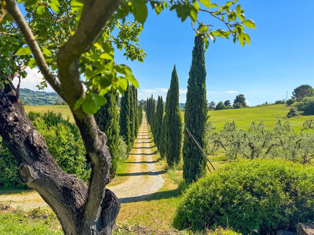 Villa in Riparbella, Tuscany, Italy 2 - 16656357