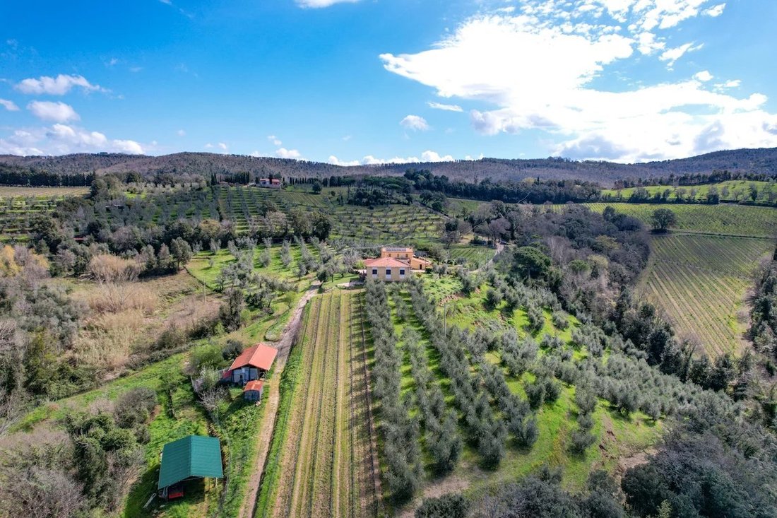 Estate in Castagneto Carducci, Tuscany, Italy 3 - 16656163