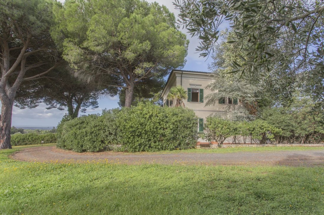 Farm Ranch in Casale Marittimo, Tuscany, Italy 5 - 16656382
