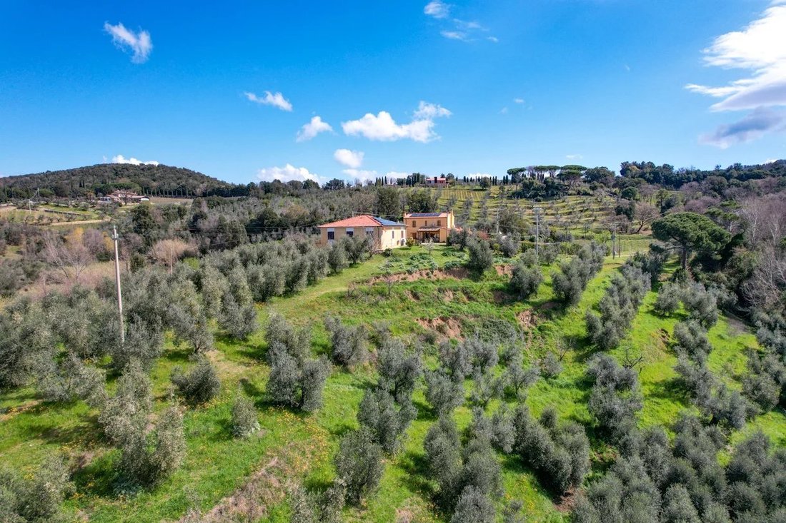 Domaine à Castagneto Carducci, Toscane, Italie 1 - 16656163
