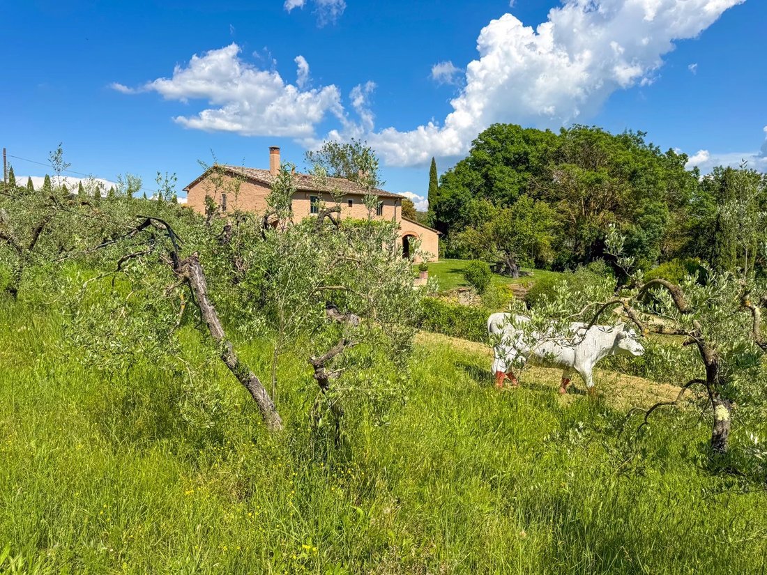 Villa in Riparbella, Tuscany, Italy 4 - 16656357