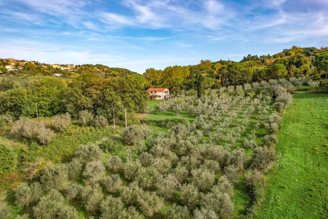 Montescudaio, Tuscany, Italy 2 - 16656291