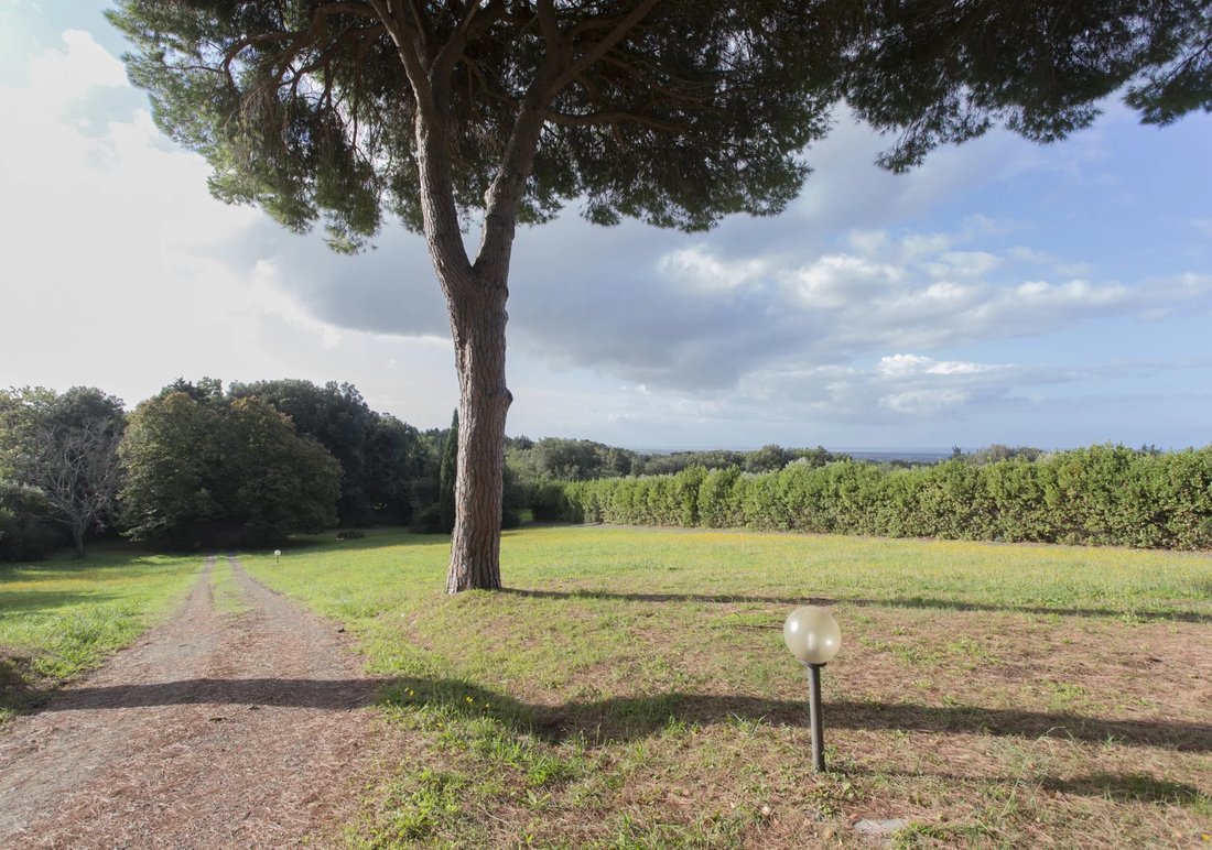 Farm Ranch in Casale Marittimo, Tuscany, Italy 4 - 16656382