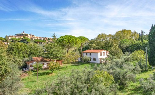 Montescudaio, Tuscany, Italy 1