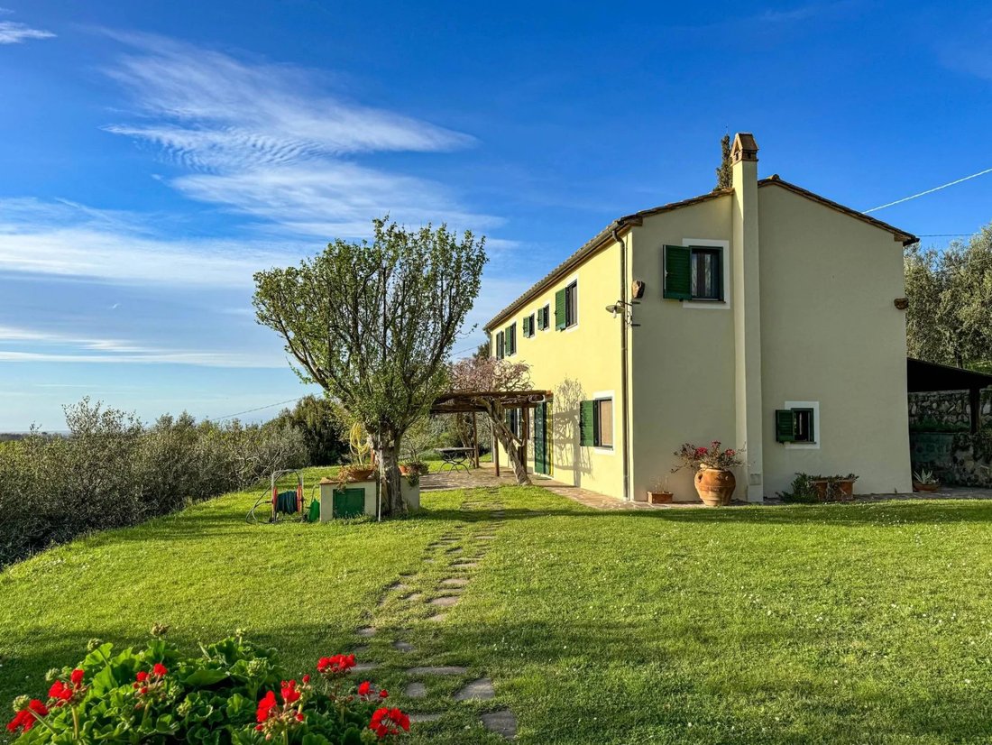 Castagneto Carducci, Tuscany, Italy 3 - 16656283