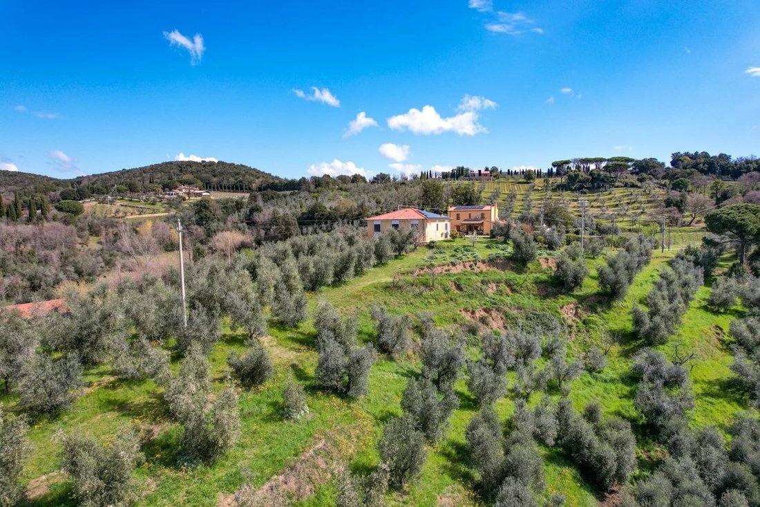 Estate in Castagneto Carducci, Tuscany, Italy 4 - 16656163