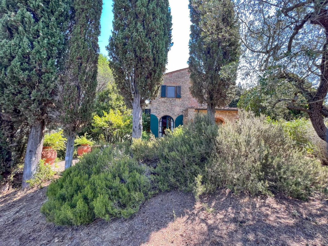 Guardistallo, Tuscany, Italy 2 - 16656332