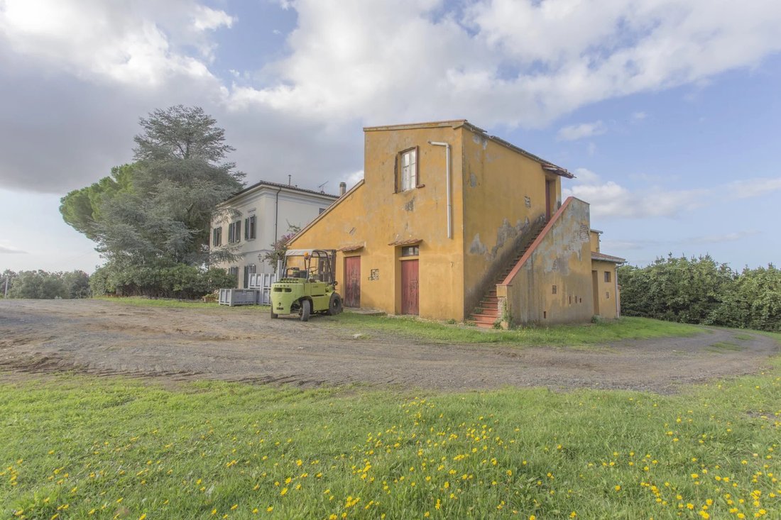 Farm Ranch in Casale Marittimo, Tuscany, Italy 3 - 16656382