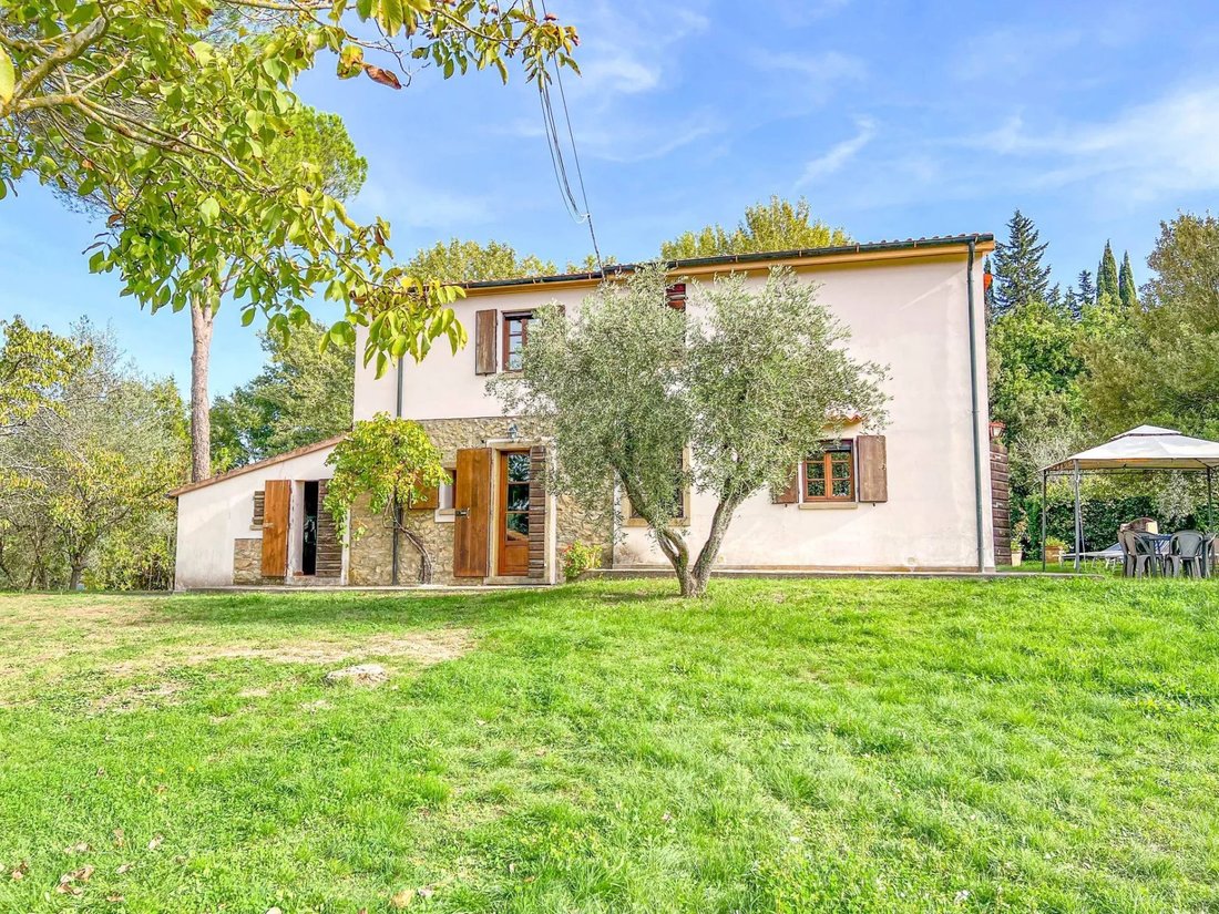 Montescudaio, Tuscany, Italy 5 - 16656291