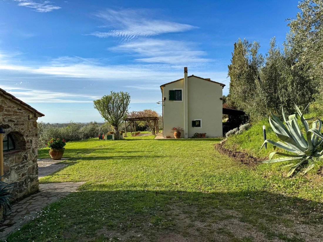 Castagneto Carducci, Tuscany, Italy 5 - 16656283