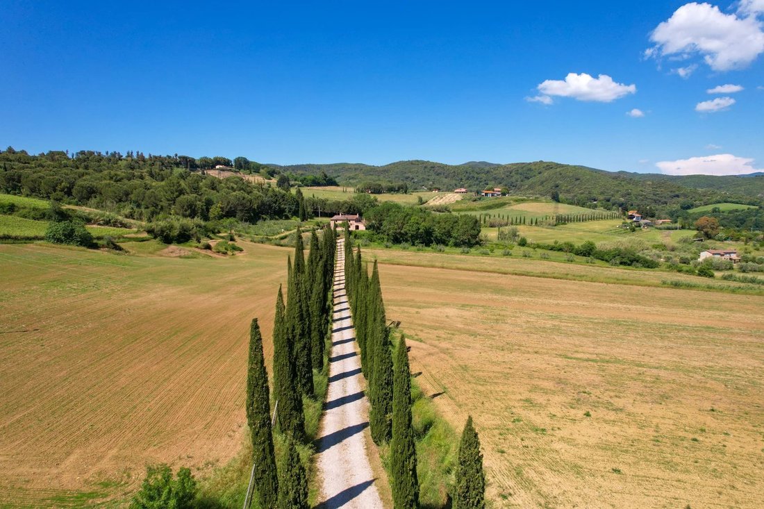 Villa in Riparbella, Tuscany, Italy 5 - 16656357