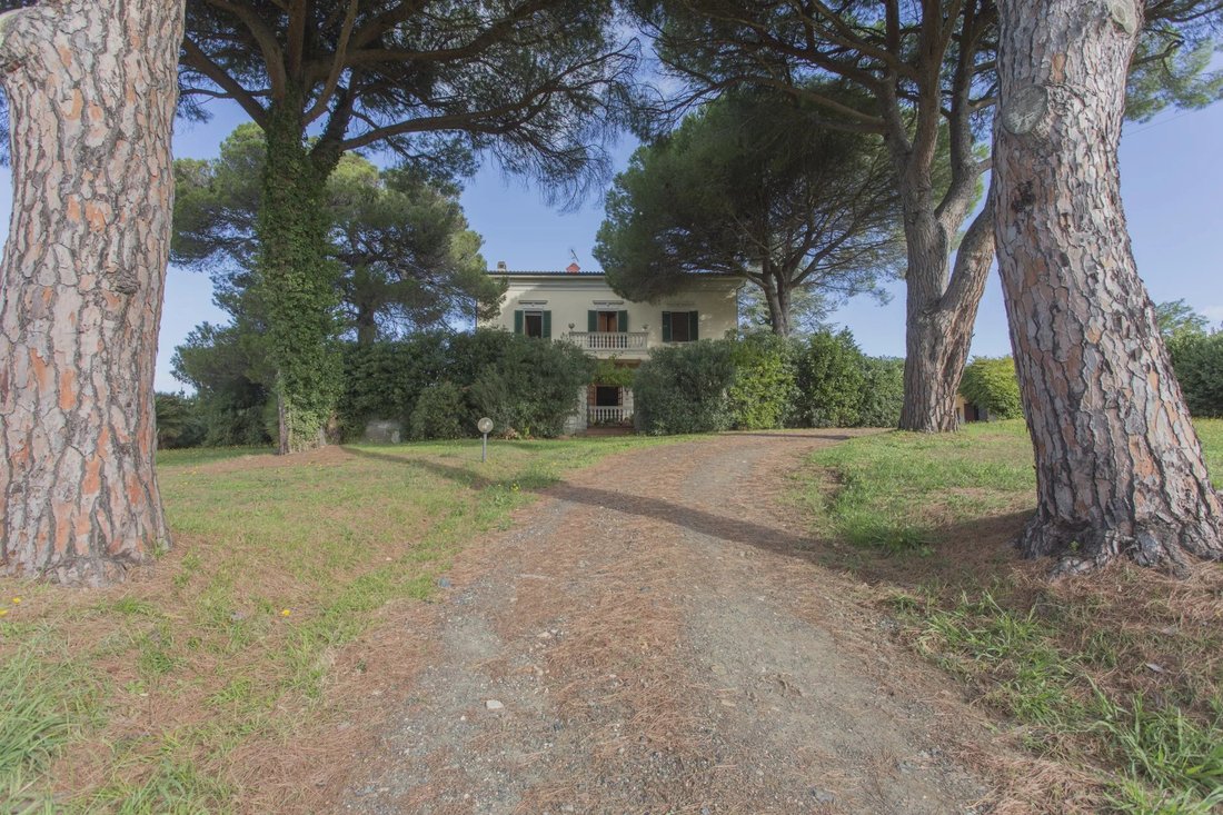 Farm Ranch in Casale Marittimo, Tuscany, Italy 1 - 16656382