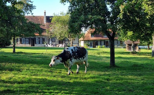 Castle for Sale in Pont-l'Évêque, Normandy, France