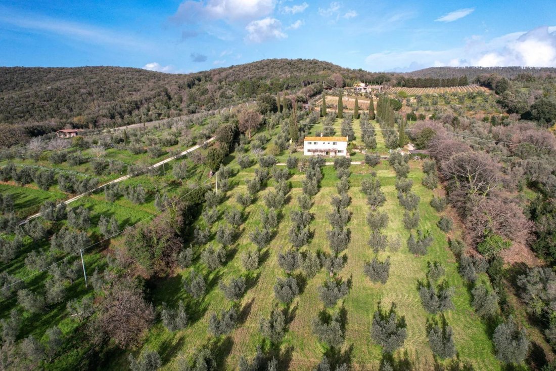 Castagneto Carducci, Tuscany, Italy 1 - 16656283