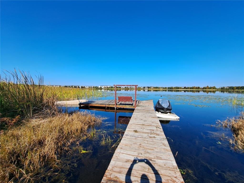 House in Orlando, Florida, United States 3 - 16656991