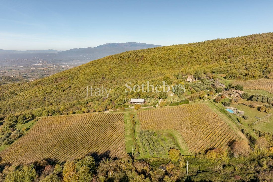 House in Giovi-Puglia-Catona, Arezzo, Tuscany 3 - 16643791