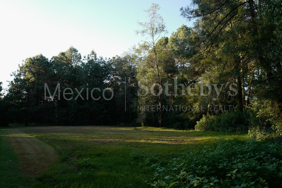 Land in Valle de Bravo, State of Mexico, Mexico 4 - 16659393