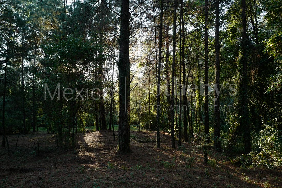 Land in Valle de Bravo, State of Mexico, Mexico 5 - 16659393