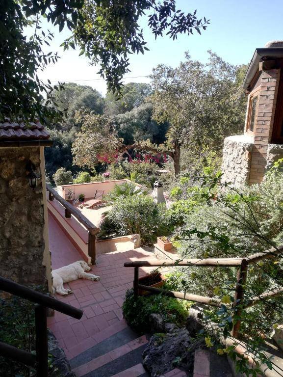 Villa in Ansedonia, Orbetello, Tuscany 3 - 16658473