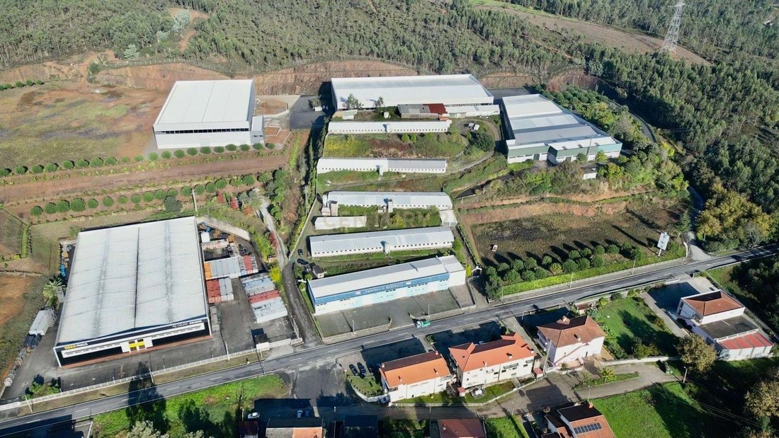 Agrela, Porto District, Portugal 4 - 16658407