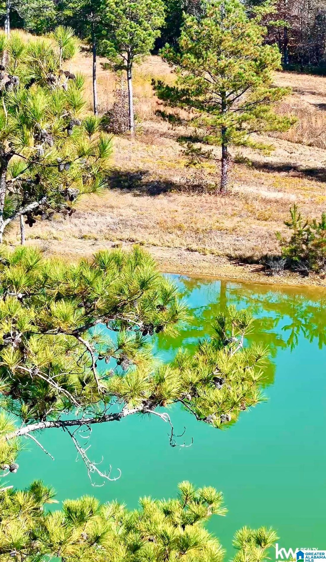 Land in Ohatchee, Alabama, United States 3 - 16655271