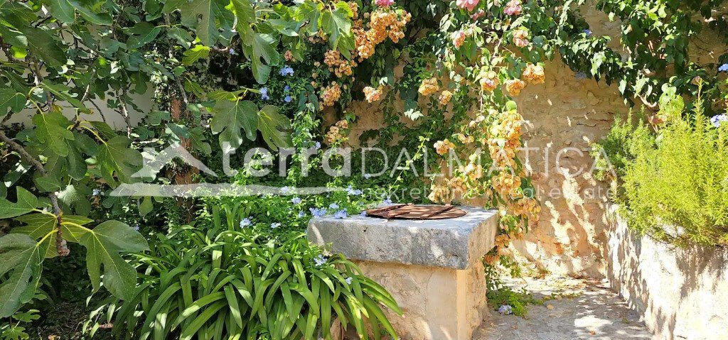 House in Dol, Split-Dalmatia County, Croatia 5 - 16659448