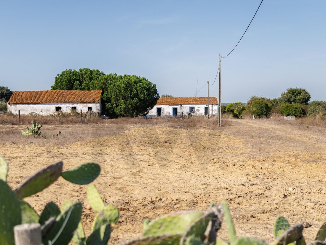 Land in Alcacer do Sal, Setubal, Portugal 4 - 16659488