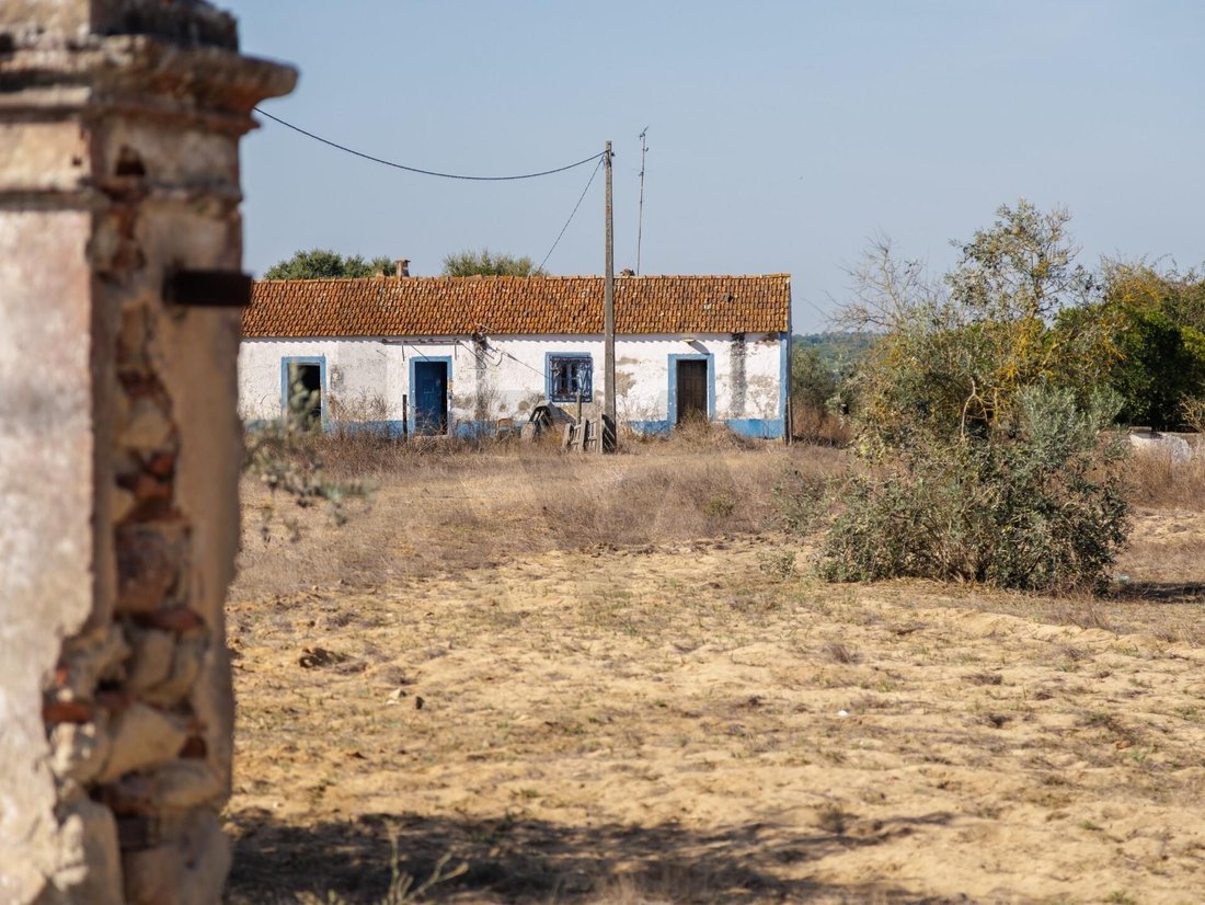 Land in Alcacer do Sal, Setubal, Portugal 3 - 16659488