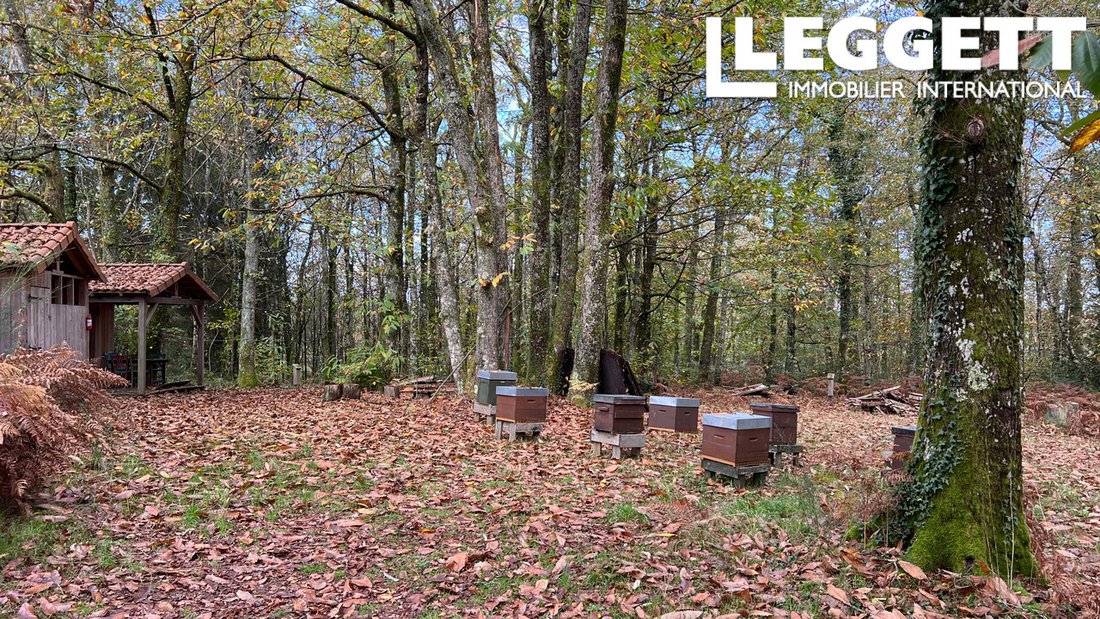 Farm Ranch in Mialet, Nouvelle-Aquitaine, France 4 - 15262230