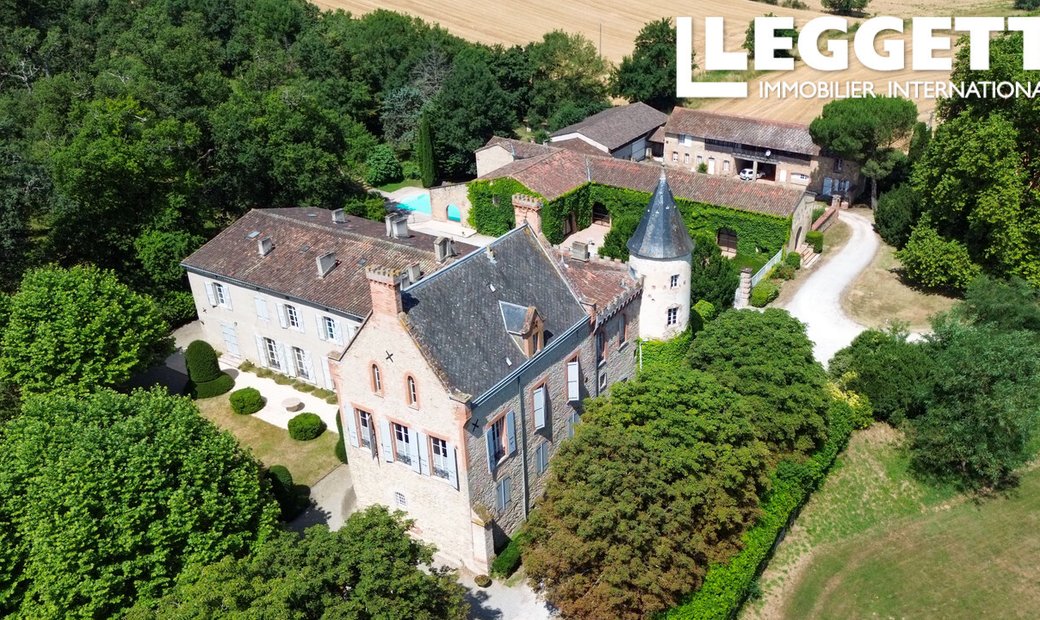 Magnificent Renaissance Style Château With 9ha Land, 2 Gîtes And Pool, 30 Minutes From Toulouse