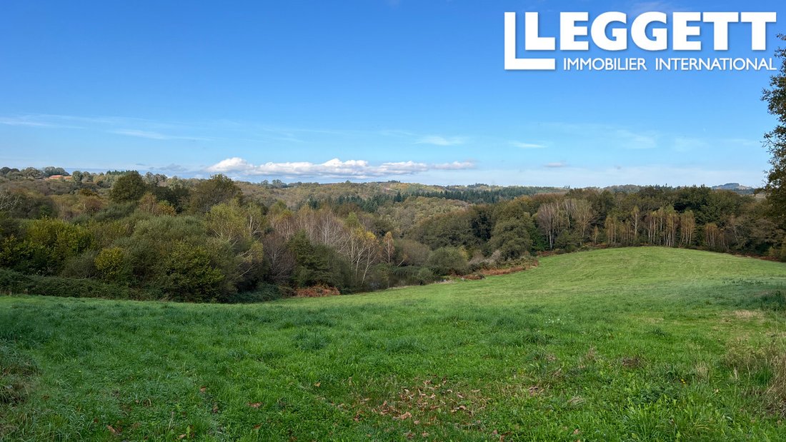 Farm Ranch in Mialet, Nouvelle-Aquitaine, France 3 - 15262230