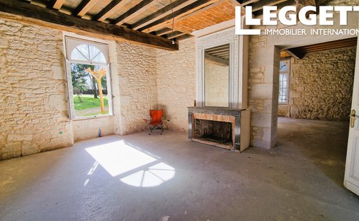 5 Min From Sainte Foy La Grande: Historic Castle Of 600m², Its Vineyard Of 85ha, Gîtes, Stable And 3