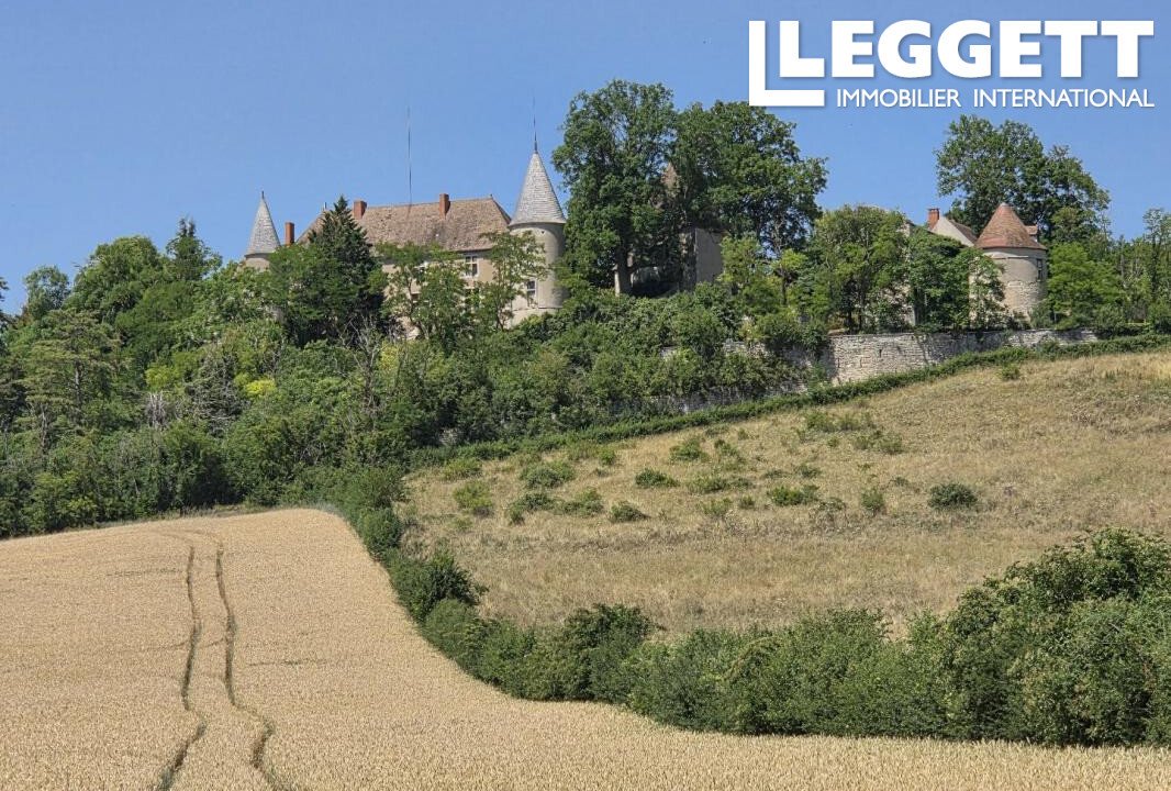 Castle in Vicq, Auvergne-Rhône-Alpes, France 2 - 16284940