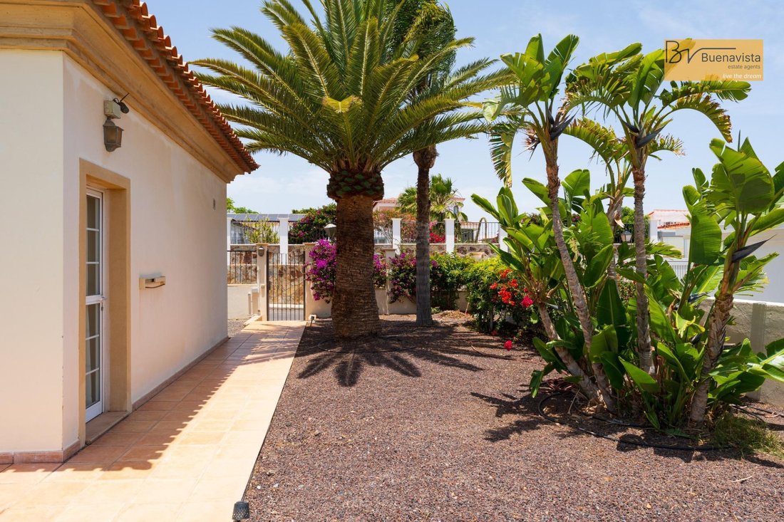 Villa in San Miguel de Abona, Canary Islands, Spain 5 - 16479567