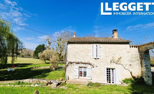 5 Min From Sainte Foy La Grande: Historic Castle Of 600m², Its Vineyard Of 85ha, Gîtes, Stable And 3